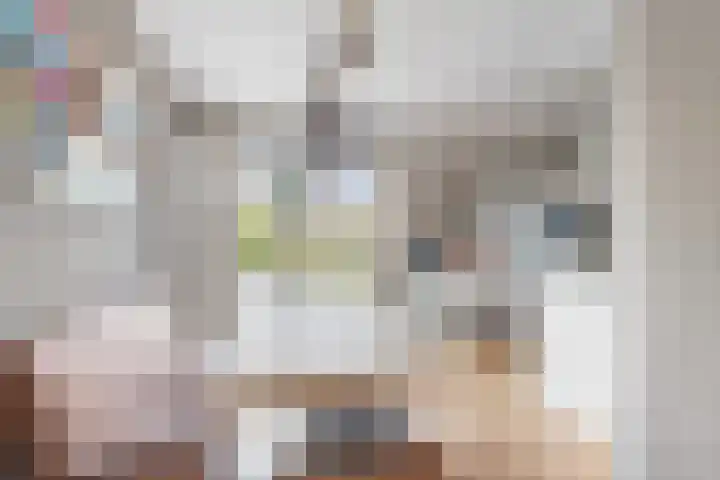 Schuttersstraat 20 Didam thumbnail 6