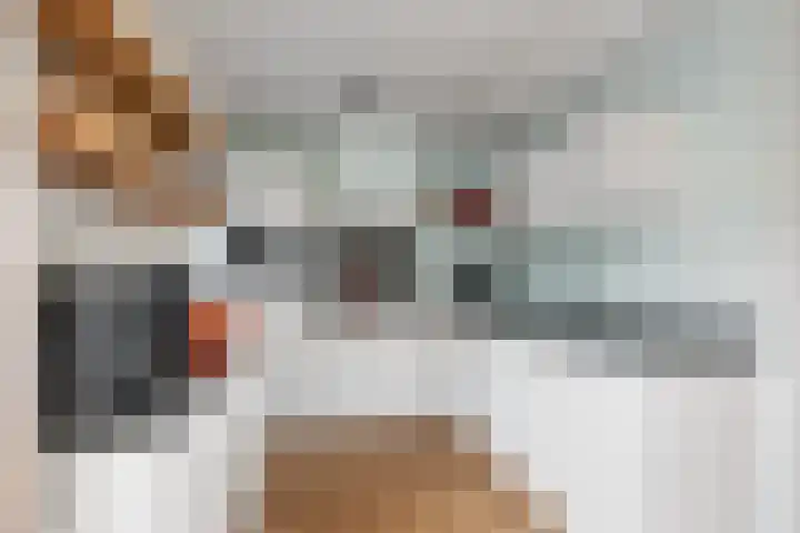 Schuttersstraat 20 Didam thumbnail 8