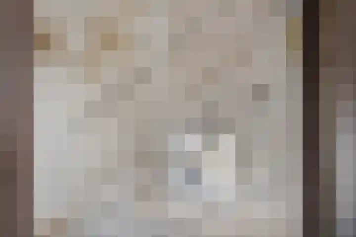 Schutterstraat 20 Rosmalen thumbnail 14