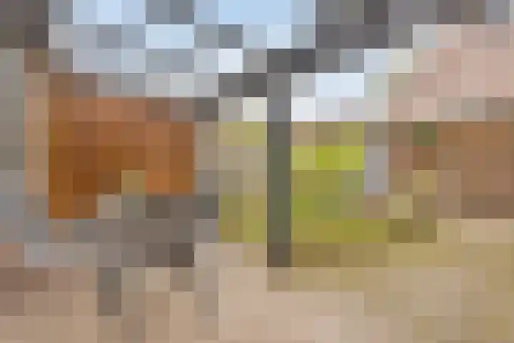 Schutterstraat 20 Rosmalen thumbnail 24