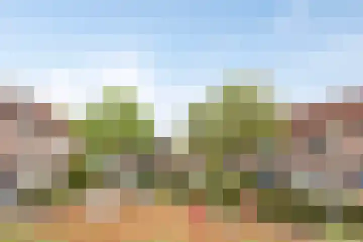 Schutterstraat 20 Rosmalen thumbnail 27