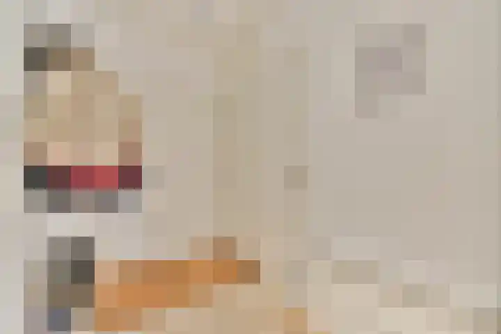 Schutterstraat 20 Rosmalen thumbnail 34