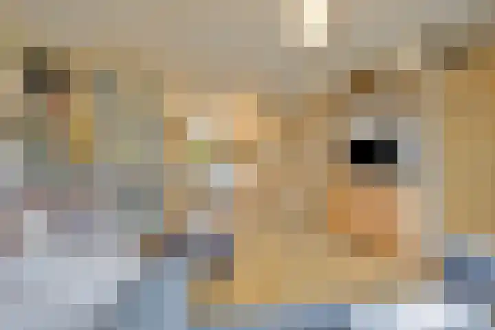 Schutterstraat 20 Rosmalen thumbnail 7