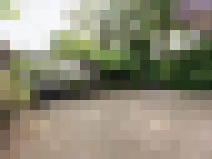 Schuttersveld 1 Gulpen thumbnail 32