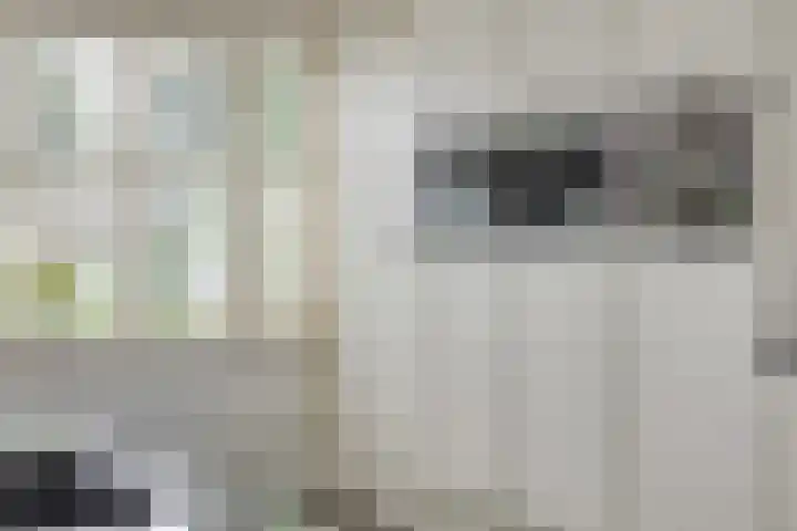 Schuttersveld 14 Deventer thumbnail 14