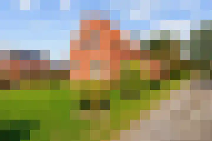 Schuttersveld 14 Deventer thumbnail 26