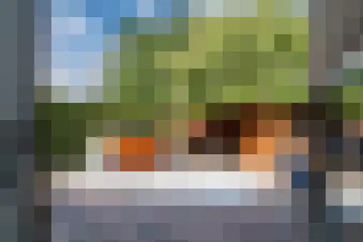 Schuttersveld 19 Loo Gld thumbnail 32