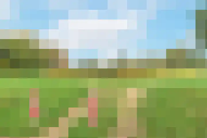 Schuttersweide 27 Westdorpe thumbnail 5