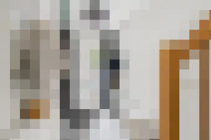 Schuttersweide 27 Westdorpe thumbnail 7