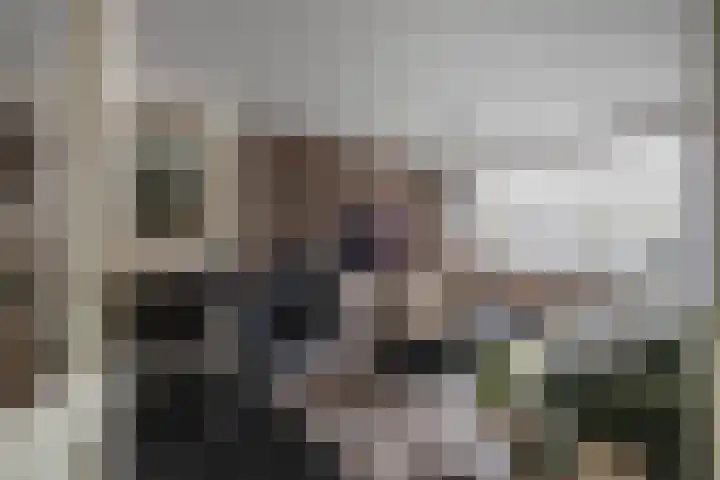 Schutterwei 12 Valkenswaard thumbnail 19