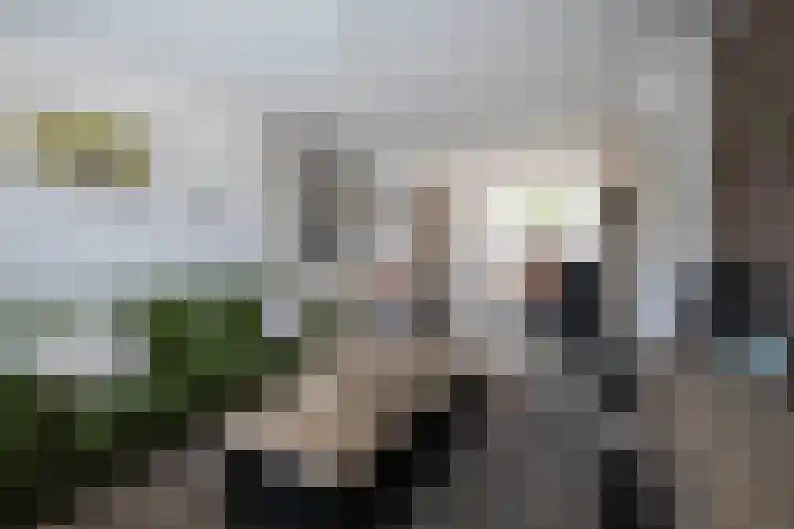 Schutterwei 12 Valkenswaard thumbnail 22