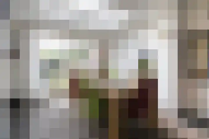 Schutterwei 12 Valkenswaard thumbnail 23