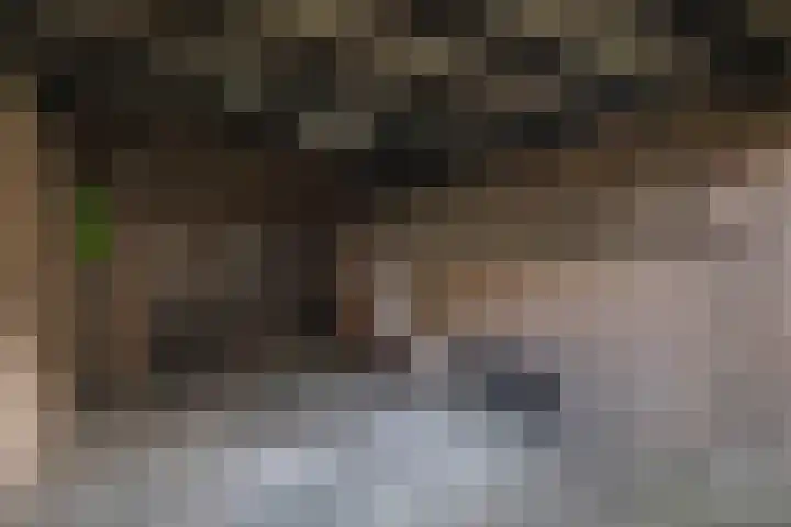 Schutterwei 12 Valkenswaard thumbnail 32