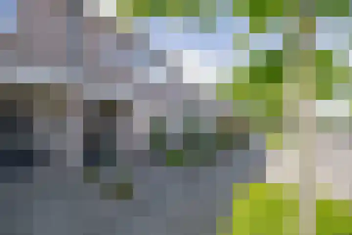 Schutterwei 12 Valkenswaard thumbnail 6