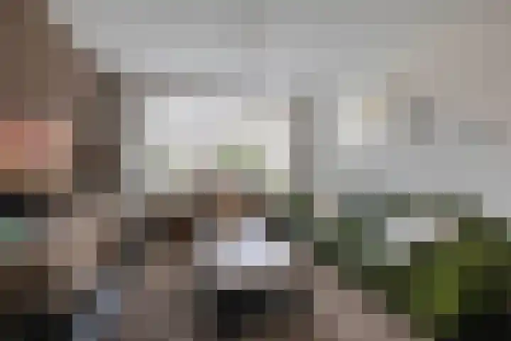 Schutterwei 12 Valkenswaard thumbnail 7