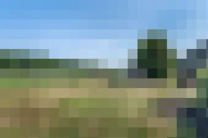 Schutweg 10 Diessen thumbnail 44