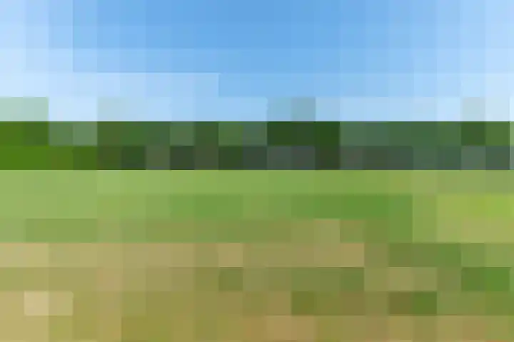 Schutweg 10 Diessen thumbnail 47