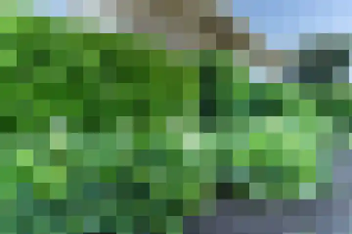 Schutweg 10 Diessen thumbnail 48