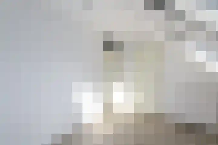 Schuur 129 Drachten thumbnail 13