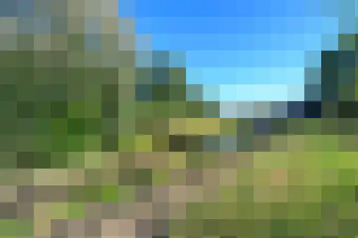 Schuur 129 Drachten thumbnail 29