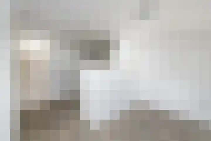 Schuur 129 Drachten thumbnail 9