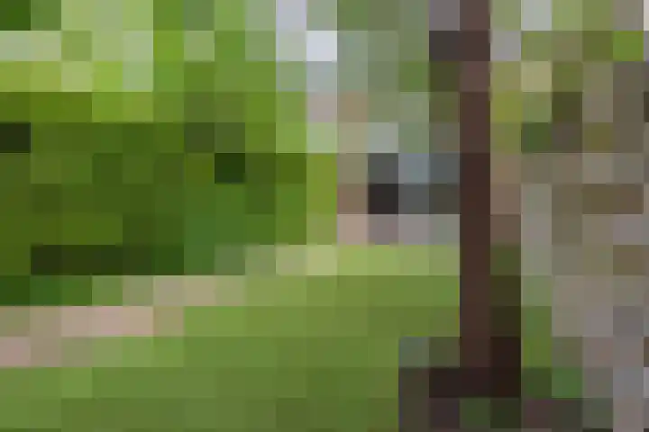 Schweitzerlaan 53 Amstelveen thumbnail 32