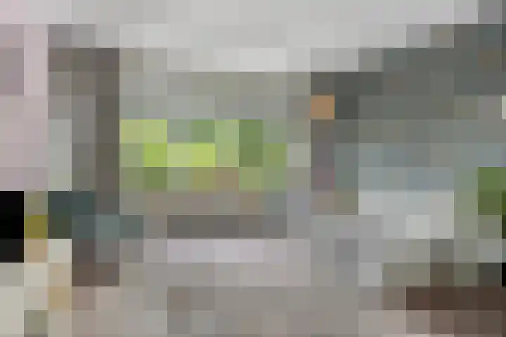 Schweitzerstraat 19 Assen thumbnail 11