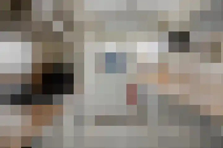 Schweitzerstraat 19 Assen thumbnail 17
