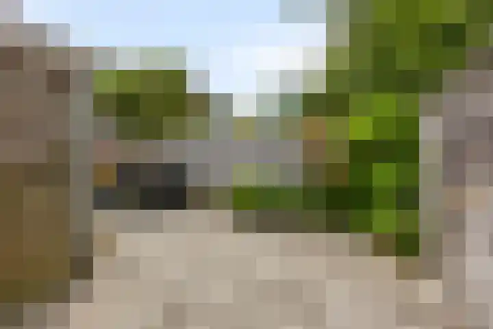 Schweitzerstraat 19 Assen thumbnail 35