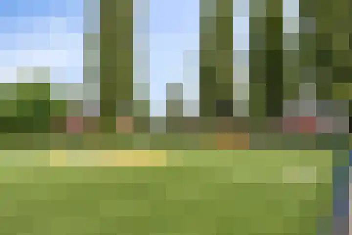 Schweitzerstraat 19 Assen thumbnail 38