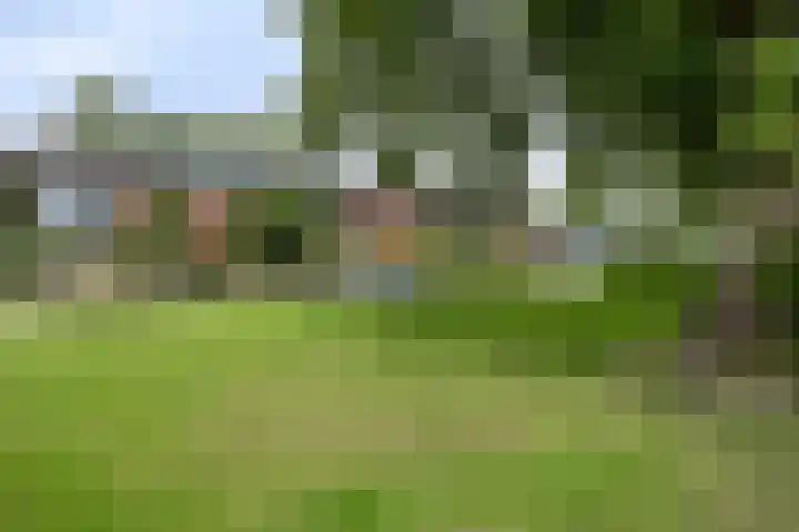 Schweitzerstraat 19 Assen thumbnail 4