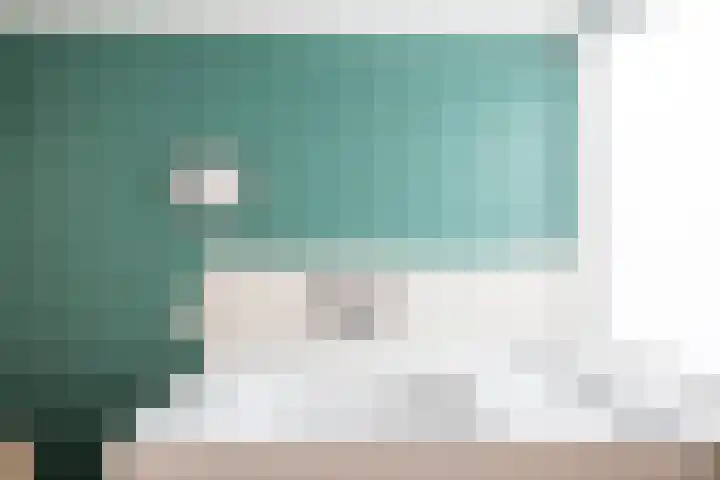 Schweitzerstraat 71 Hoofddorp thumbnail 36