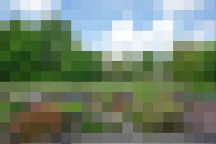 Schweitzerstraat 71 Hoofddorp thumbnail 44