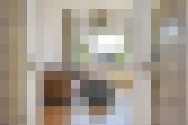 Schwerinkade 46 Den Haag thumbnail 6