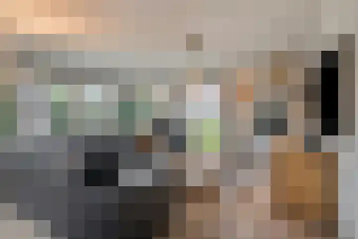 Scottstraat 15 Hulst thumbnail 12