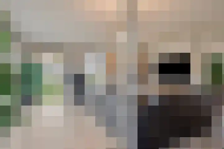 Scottstraat 15 Hulst thumbnail 13