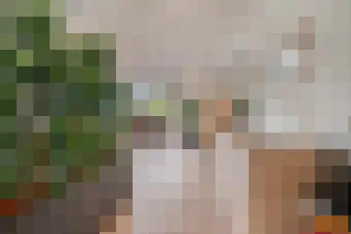Scottstraat 15 Hulst thumbnail 20