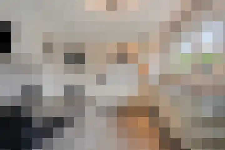 Scottstraat 15 Hulst thumbnail 25