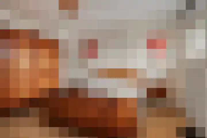 Scottstraat 15 Hulst thumbnail 31