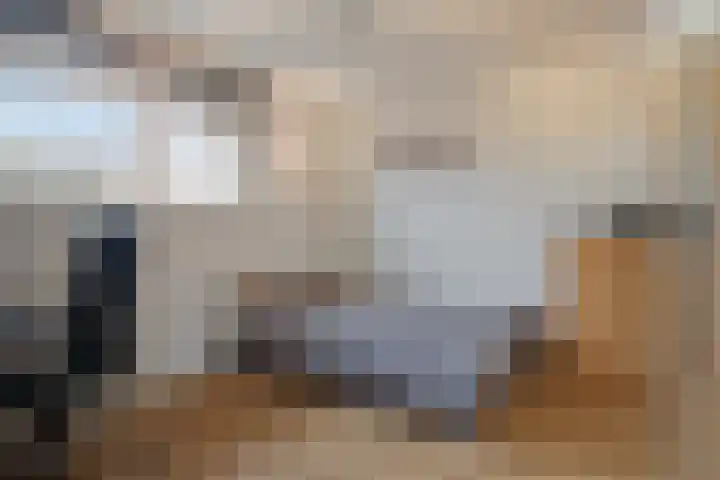 Scottstraat 15 Hulst thumbnail 34