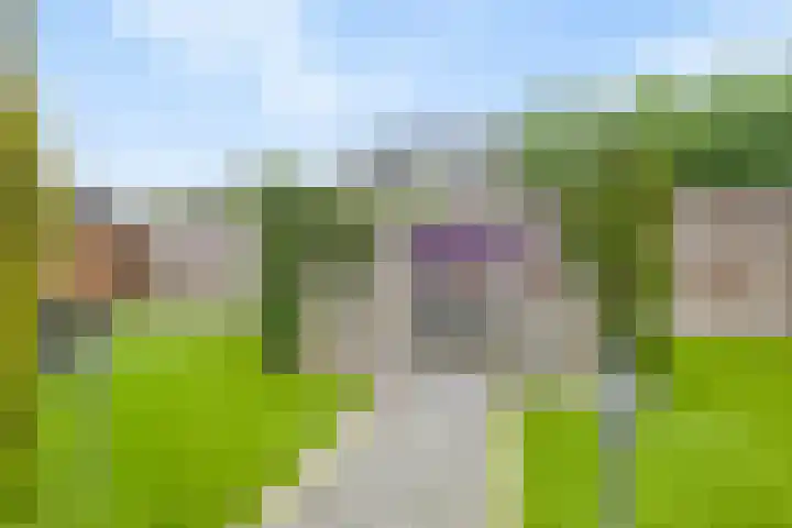 Scottstraat 15 Hulst thumbnail 43