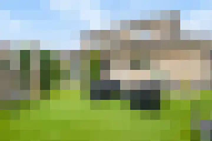 Scottstraat 15 Hulst thumbnail 47