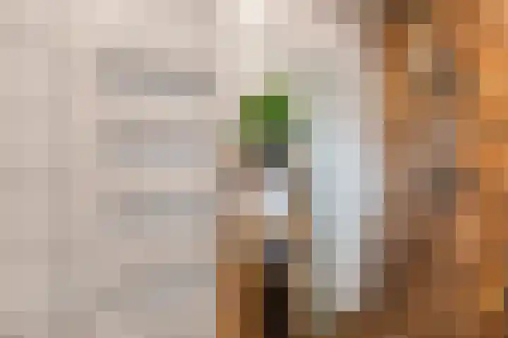 Scottstraat 8 Venlo thumbnail 17