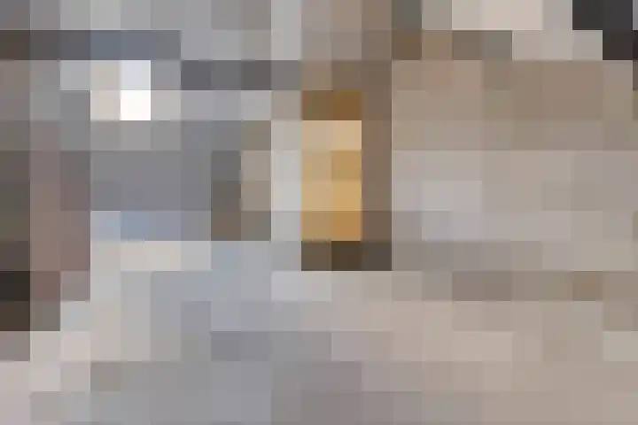 Scottstraat 8 Venlo thumbnail 22