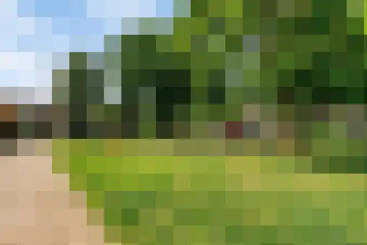 Scottstraat 8 Venlo thumbnail 8