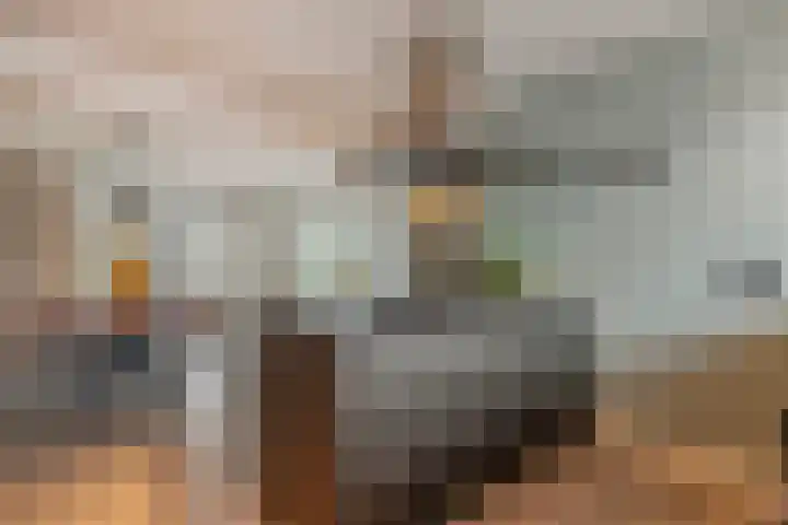 Scriveriusmate 34 Zwolle thumbnail 10