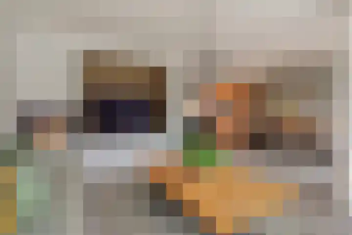 Scriveriusmate 34 Zwolle thumbnail 15