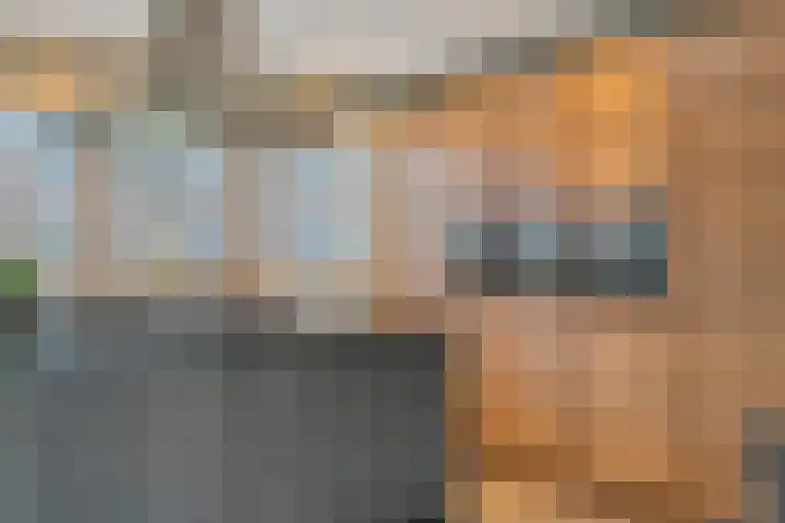 Scriveriusmate 34 Zwolle thumbnail 16
