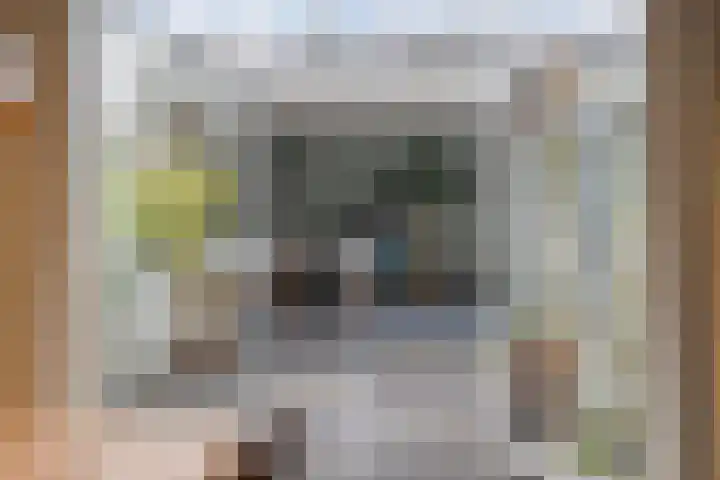 Scriveriusmate 34 Zwolle thumbnail 19