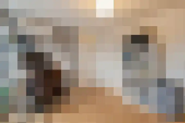 Scriveriusmate 34 Zwolle thumbnail 25